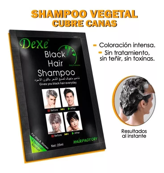 SHAMPOO PINTA CANAS - CAJA X10